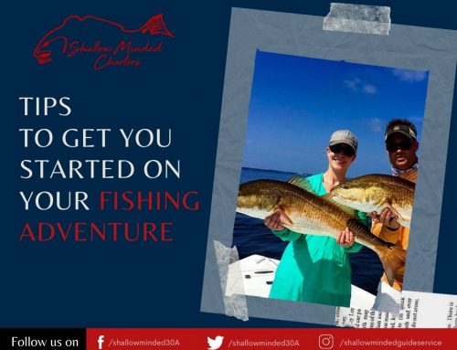 Tips to get you started on your fishing adventure